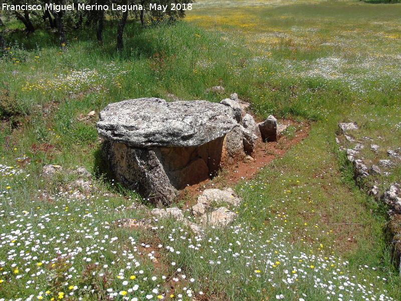 Dolmen de la Media Puerta - Dolmen de la Media Puerta. 