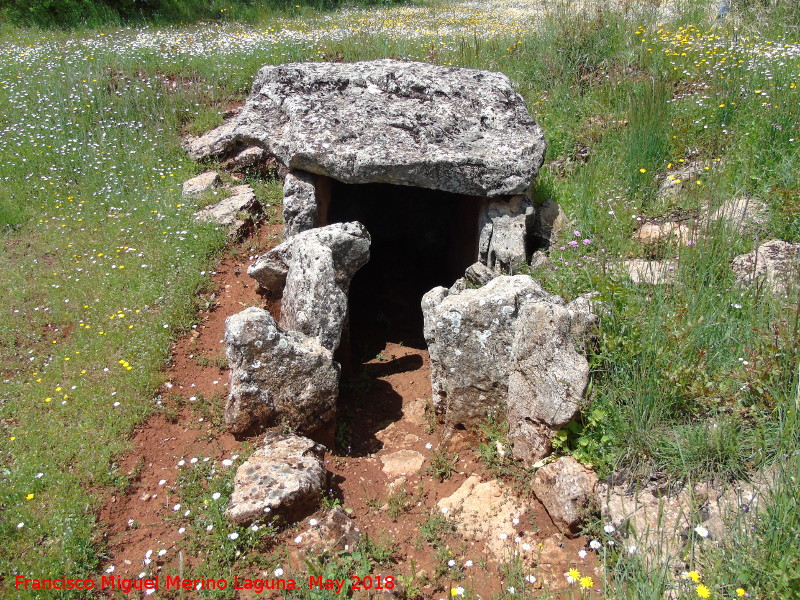 Dolmen de la Media Puerta - Dolmen de la Media Puerta. 