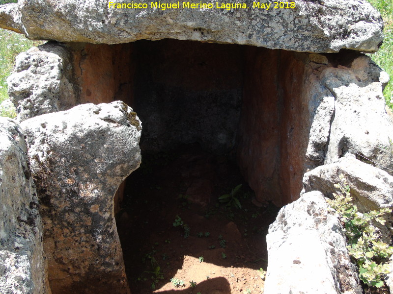 Dolmen de la Media Puerta - Dolmen de la Media Puerta. Detalle