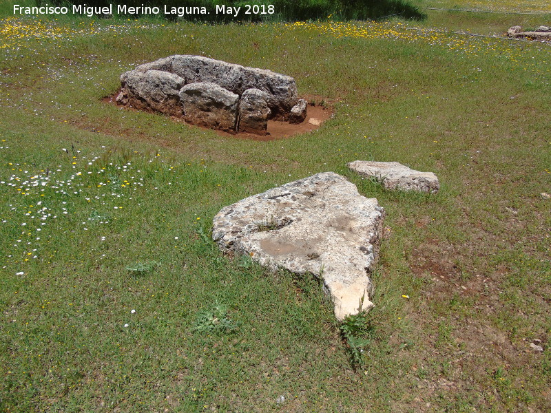 Dolmen Central Destapado - Dolmen Central Destapado. 