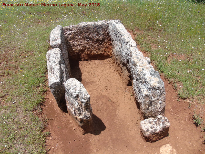 Dolmen Central Destapado - Dolmen Central Destapado. 