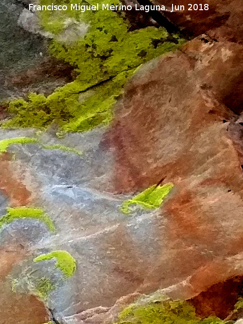 Pinturas rupestres del Puntal - Pinturas rupestres del Puntal. Antropomorfo derecho superior del grupo II