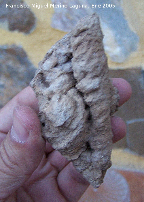 Caliza - Caliza. Las Chorreras - Valdepeas de Jan