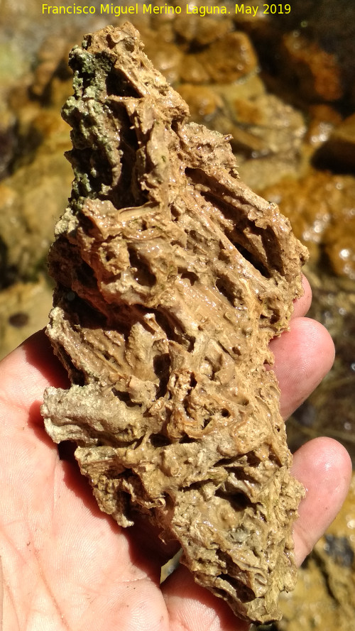 Toba calcrea - Toba calcrea. Cascada Cuarta de la Hueta - Orcera