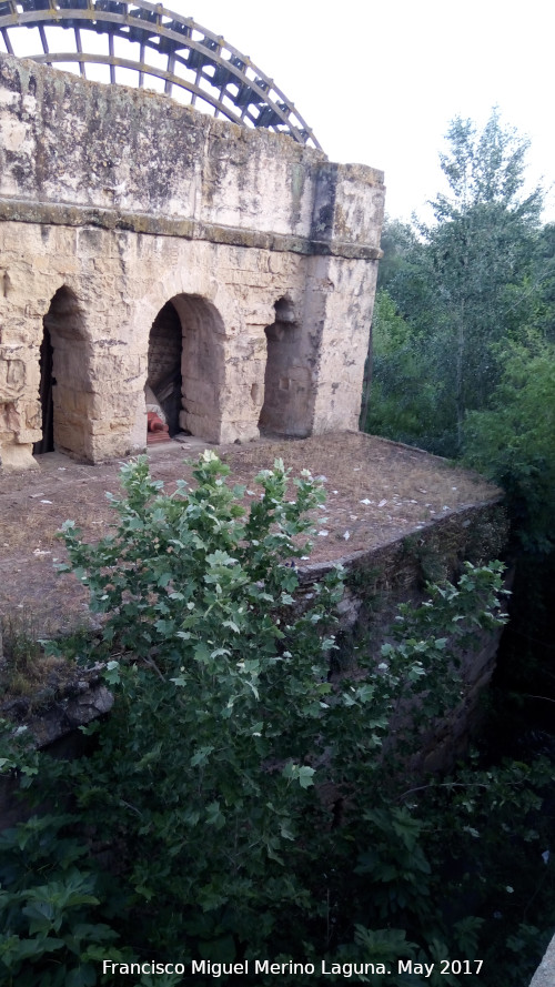 Molino de la Albolafia - Molino de la Albolafia. 