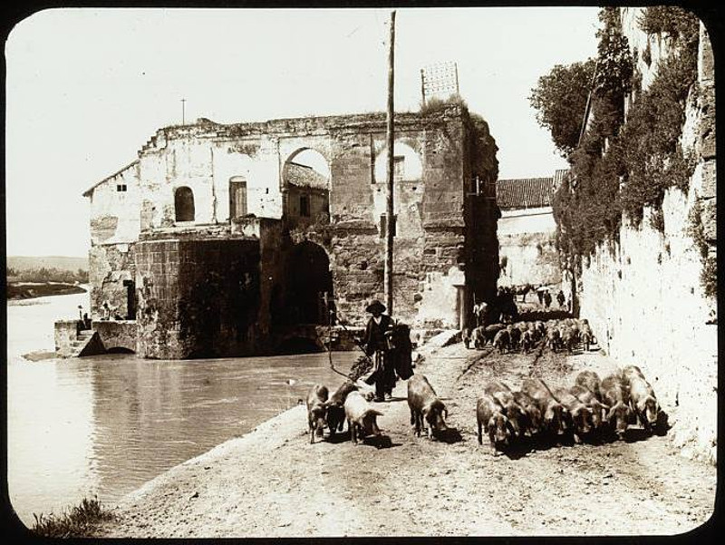 Molino de la Albolafia - Molino de la Albolafia. Foto antigua