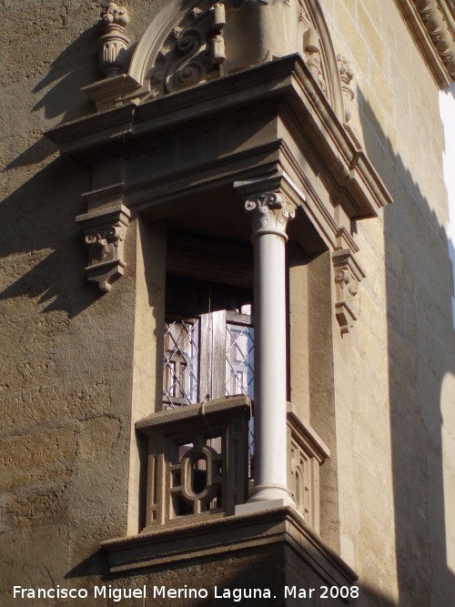 Palacio de los Paez de Castillejo - Palacio de los Paez de Castillejo. 