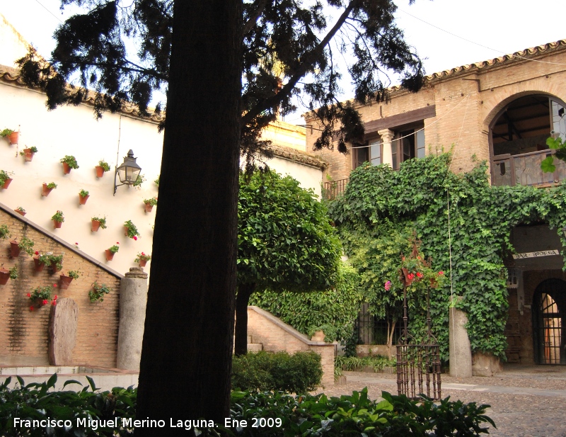 Palacio de los Paez de Castillejo - Palacio de los Paez de Castillejo. 