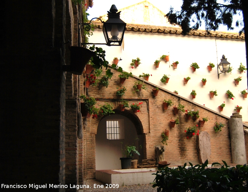 Palacio de los Paez de Castillejo - Palacio de los Paez de Castillejo. 