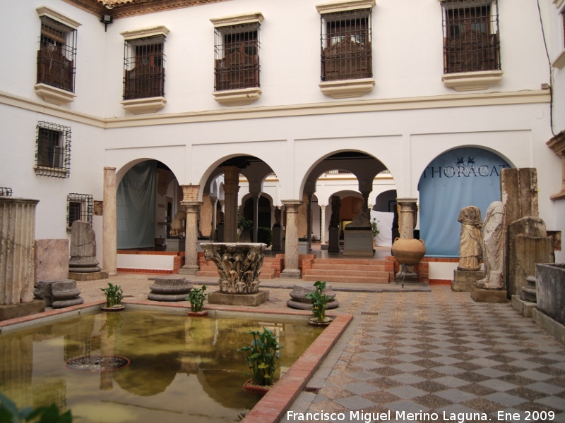 Palacio de los Paez de Castillejo - Palacio de los Paez de Castillejo. 