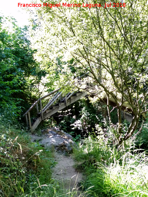 Puente de Madera Apuntado I del Cerezuelo - Puente de Madera Apuntado I del Cerezuelo. 