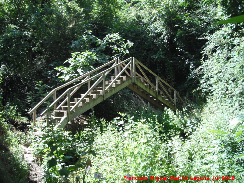 Puente de Madera Apuntado I del Cerezuelo - Puente de Madera Apuntado I del Cerezuelo. 