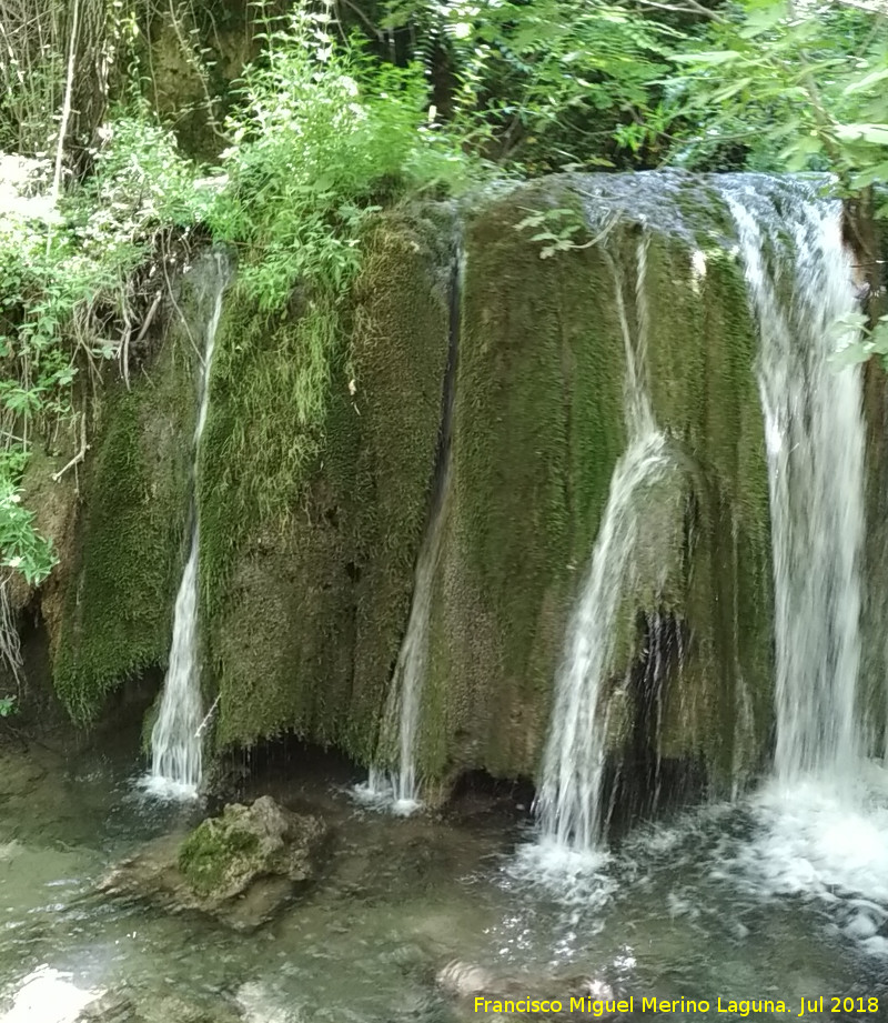 Cascada de Toba del Cerezuelo - Cascada de Toba del Cerezuelo. 