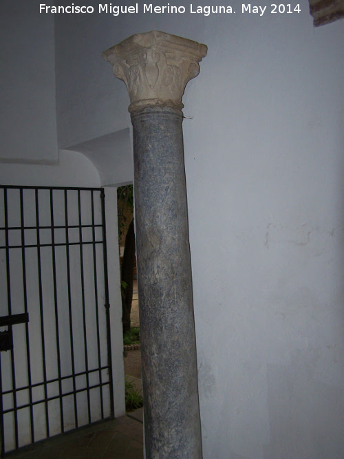 Palacio de Viana - Palacio de Viana. Columna