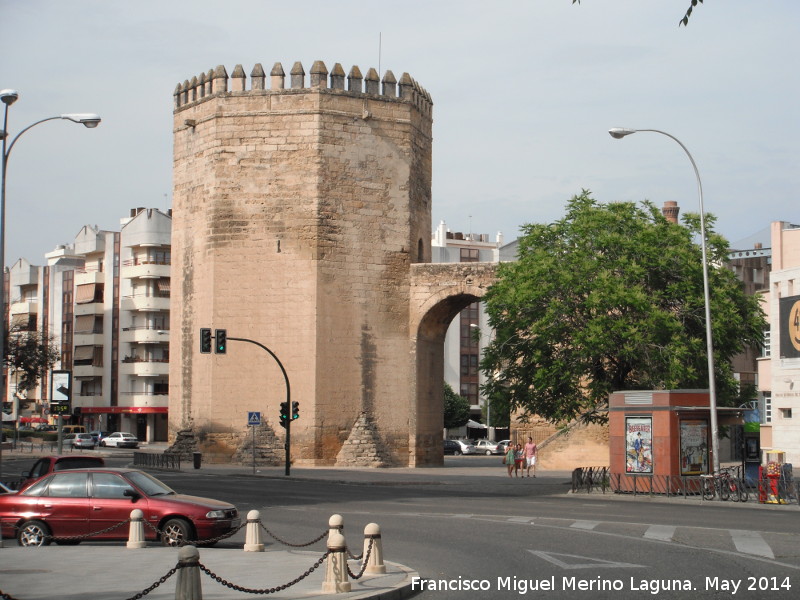 Torre de la Malmuerta - Torre de la Malmuerta. 