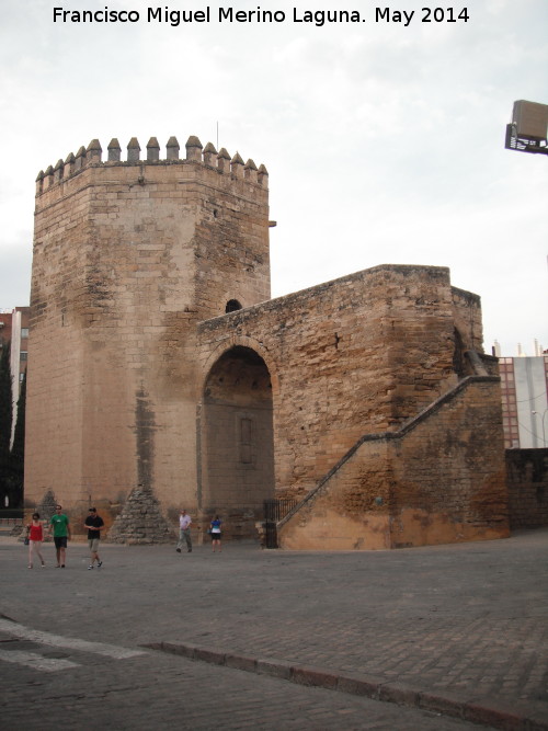 Torre de la Malmuerta - Torre de la Malmuerta. 
