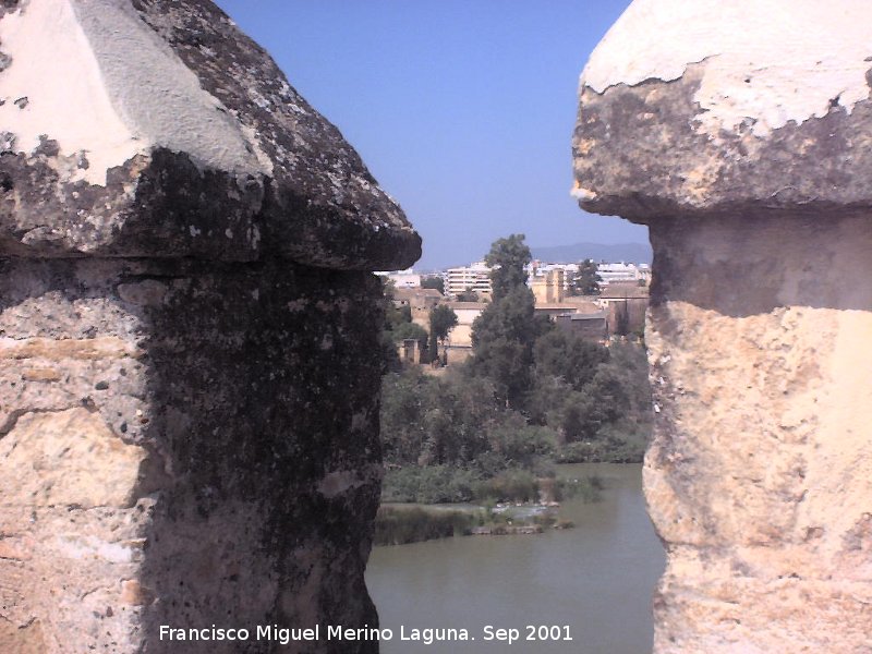 Alczar de los Reyes Catlicos - Alczar de los Reyes Catlicos. Desde la Calahorra