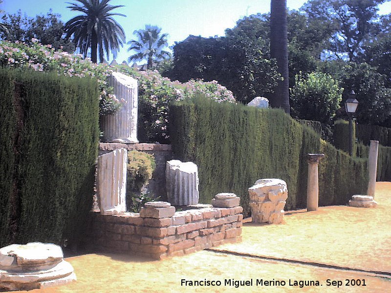 Alczar de los Reyes Catlicos - Alczar de los Reyes Catlicos. Restos de columnas romanas en los jardines