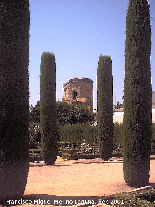 Alczar de los Reyes Catlicos - Alczar de los Reyes Catlicos. Torre defensiva del Alczar en los jardines