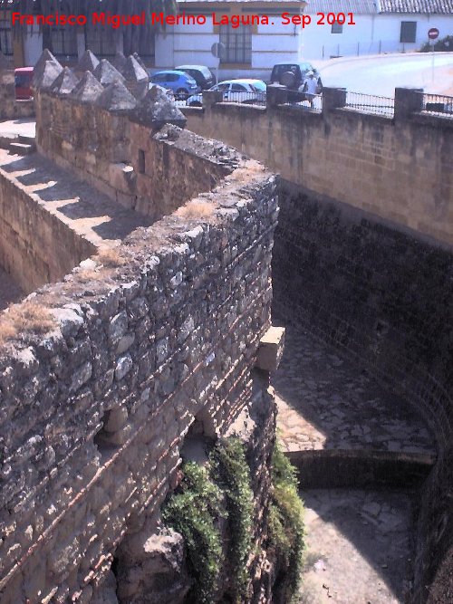 Torre de la Calahorra - Torre de la Calahorra. Foso