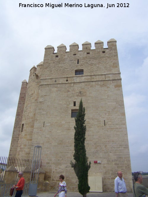 Torre de la Calahorra - Torre de la Calahorra. Lateral