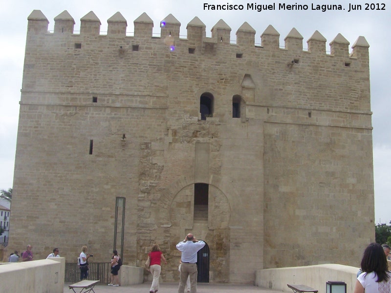 Torre de la Calahorra - Torre de la Calahorra. Desde el puente