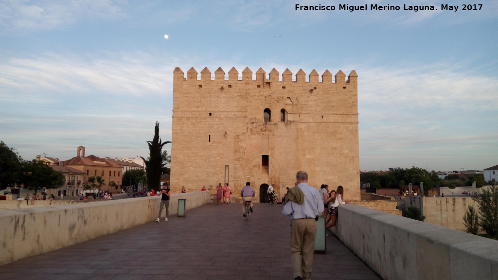 Torre de la Calahorra - Torre de la Calahorra. 