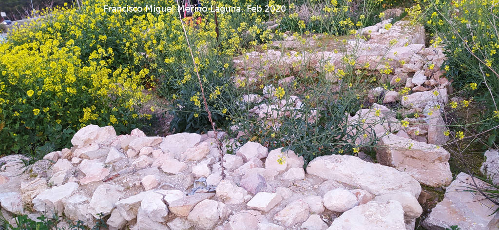 Villae romana de la Ca�ada del Parral - Villae romana de la Ca�ada del Parral. 