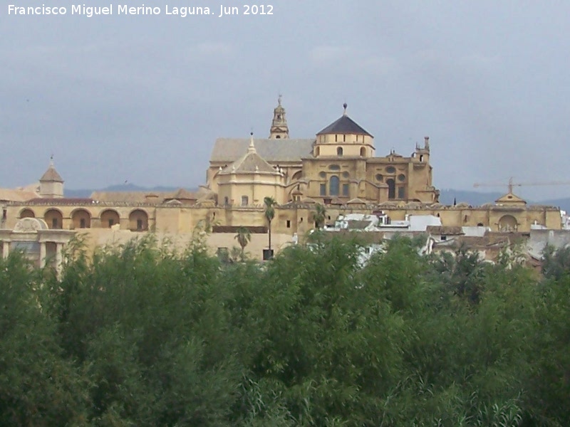 Mezquita Catedral - Mezquita Catedral. 