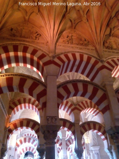 Mezquita Catedral - Mezquita Catedral. 