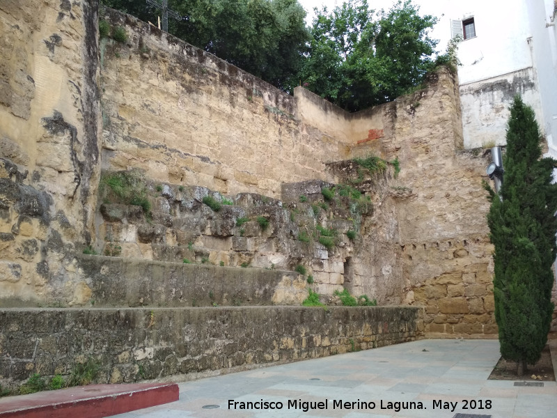 Murallas de Crdoba - Murallas de Crdoba. Muralla de la Puerta del Rincn