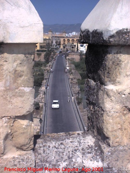 Puente Romano - Puente Romano. Desde la Calahorra