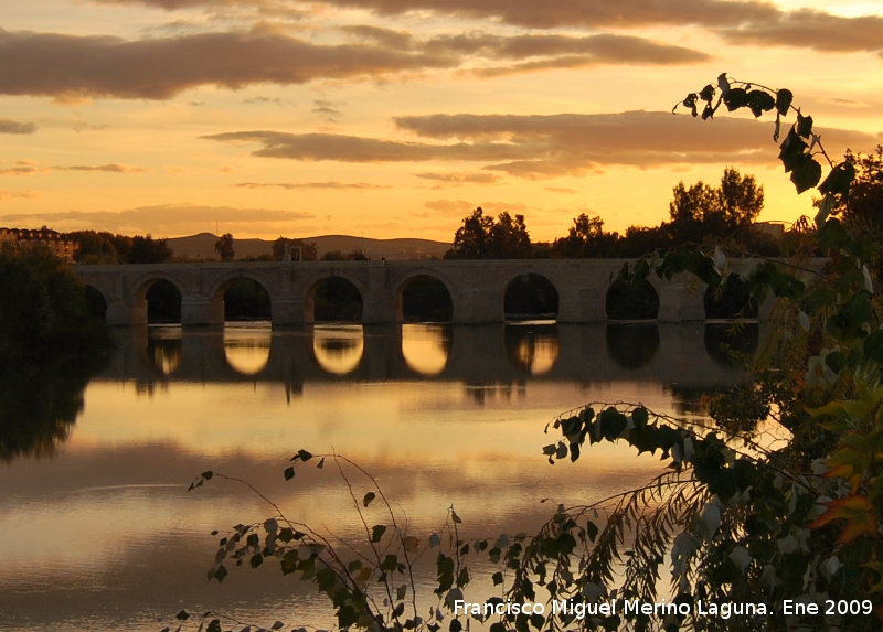 Puente Romano - Puente Romano. 