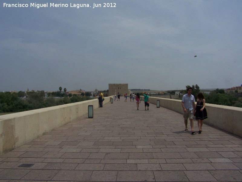 Puente Romano - Puente Romano. 