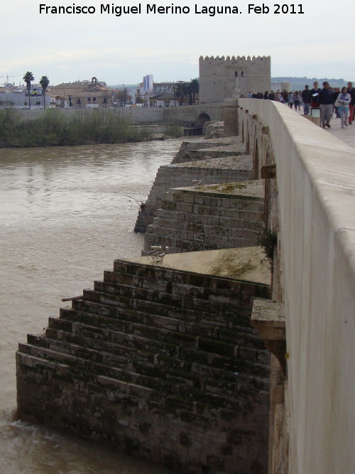 Puente Romano - Puente Romano. Tajamares