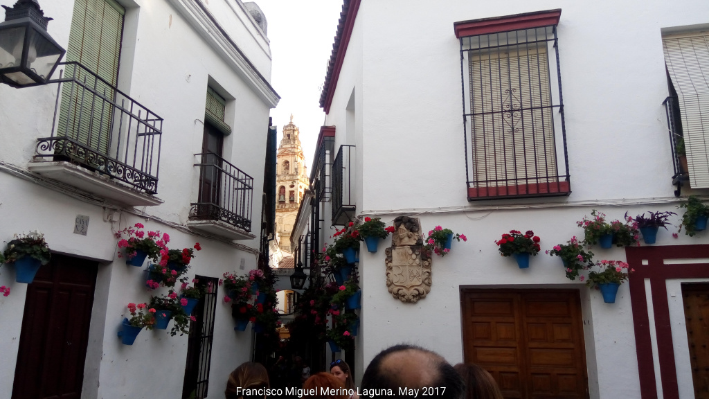 Plaza de las Flores - Plaza de las Flores. Vistas hacia la Catedral