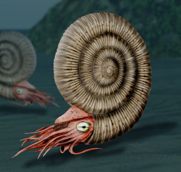 Ammonites Dactylioceras - Ammonites Dactylioceras. Reconstruccin. Wikipedia