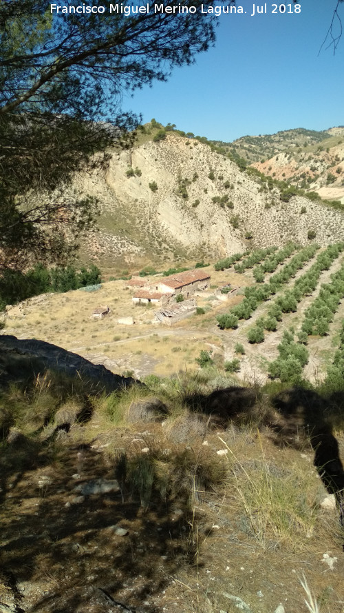 Cortijo Viejo - Cortijo Viejo. 