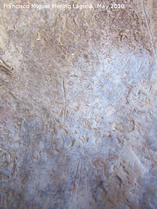 Pinturas y petroglifos rupestres del Abrigo de los cortados del Canjorro - Pinturas y petroglifos rupestres del Abrigo de los cortados del Canjorro. Grabados