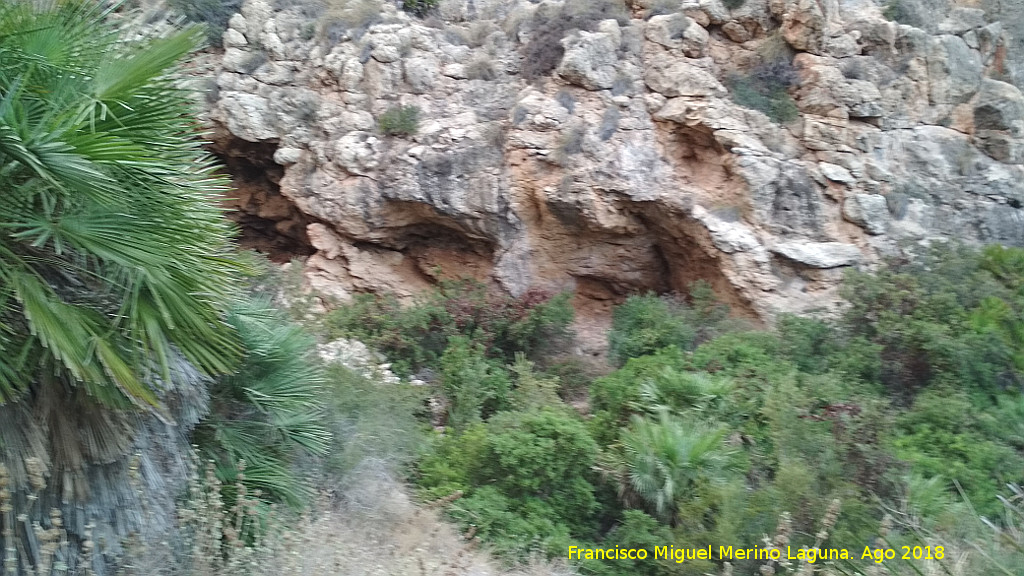 Barranco de la Cueva de las Flores - Barranco de la Cueva de las Flores. Abrigos del barranco