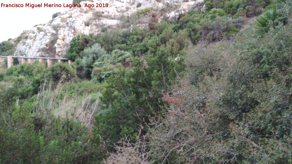 Barranco de la Cueva de las Flores - Barranco de la Cueva de las Flores. 