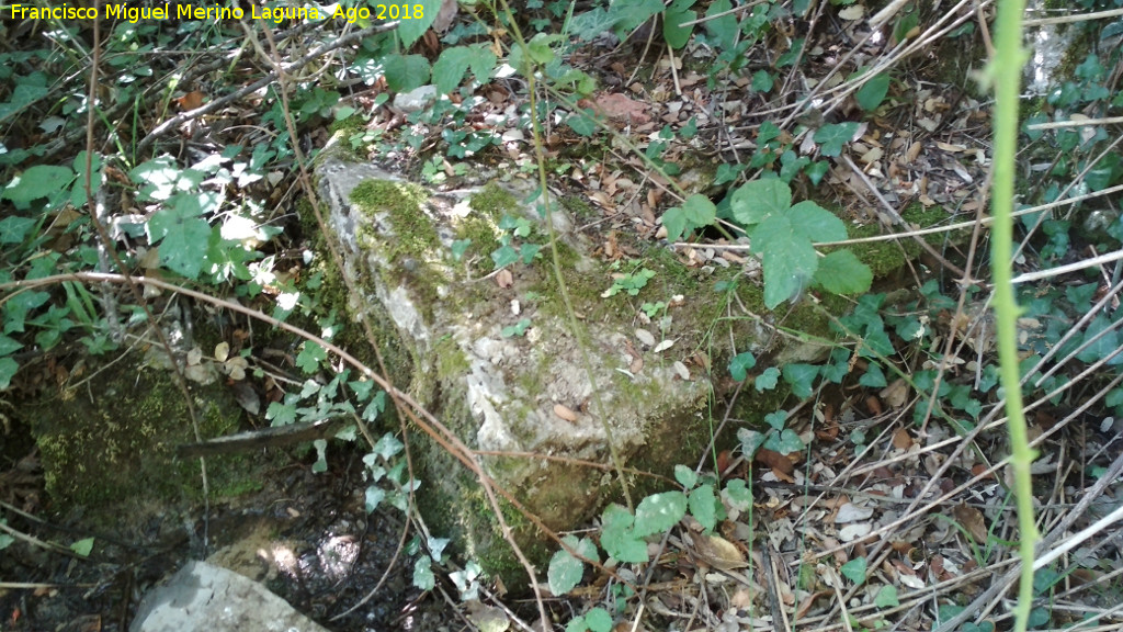 Fuente de la Montesina - Fuente de la Montesina. 