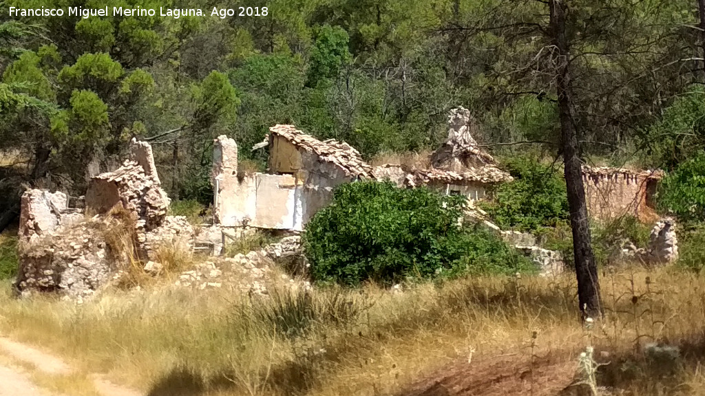 Cortijo Alto - Cortijo Alto. 