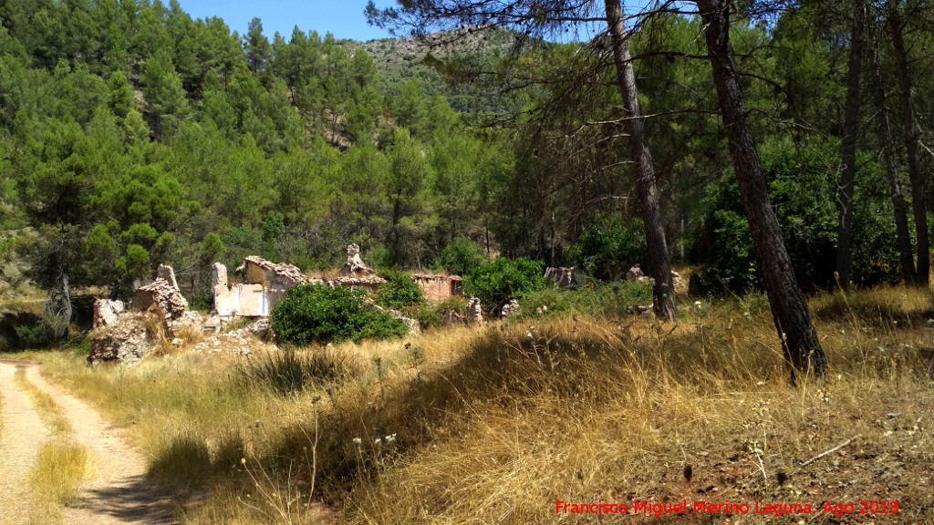 Cortijo Alto - Cortijo Alto. 