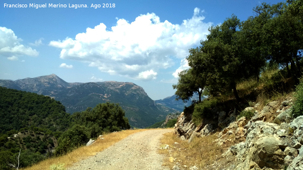 Puerto de las Palomas - Puerto de las Palomas. 