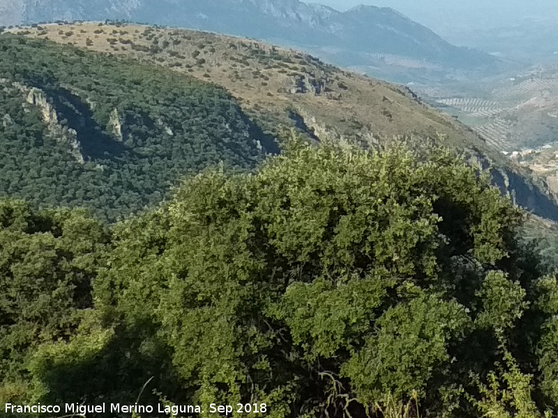 Calar de Arriba - Calar de Arriba. Desde La Yedra