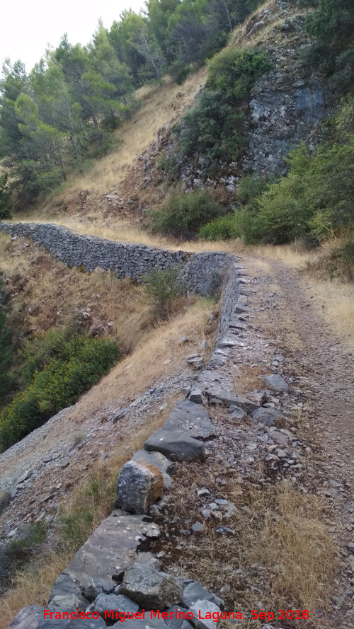 Vereda del Pincho - Vereda del Pincho. 