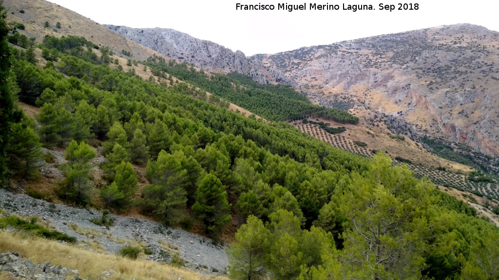 Vereda del Pincho - Vereda del Pincho. Vista hacia la Cresta del Diablo