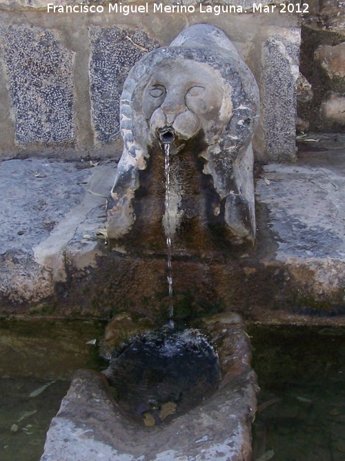 Fuente Zaide - Fuente Zaide. Len derecho