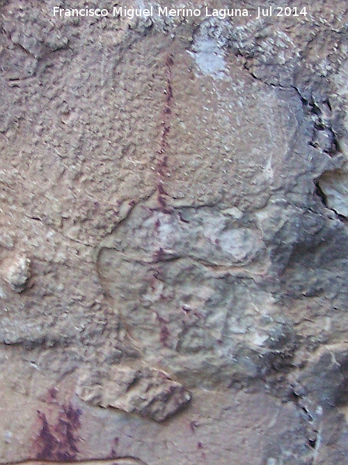 Pinturas rupestres del Abrigo del Rajn - Pinturas rupestres del Abrigo del Rajn. Barra vertical